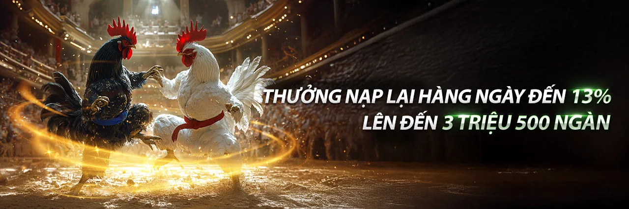 Ứng dụng Rio66 trên điện thoại